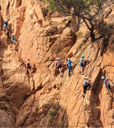 Visie Oostenbrink Consultants